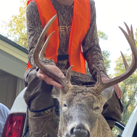 Meet your Posher, Luke - Picture 1 of 1